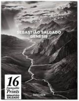 Salgado Poster Box
