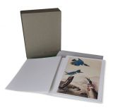 The John James Audubon Portfolio