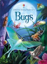 Bugs (Young Beginners)