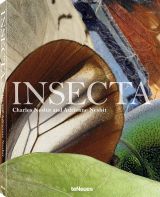 Insecta 