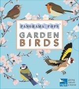 Garden Birds: Panorama Pops