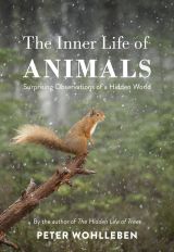 The Inner Life of Animals: Surprising Observations of a Hidden World