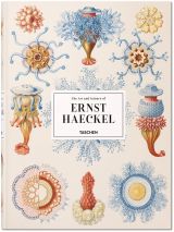 The Art and Science of Ernst Haeckel