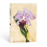 Zápisník Paperblanks Brazilian Orchid Mini linkovaný (Painted Botanicals)