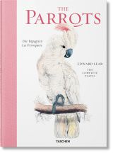 Edward Lear. The Parrots