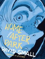 Home After Dark: A Novel