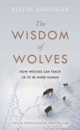 The Wisdom of Wolves: How Wolves Can Teach Us To Be More Human