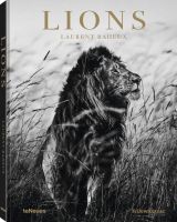 Laurent Baheux: Lions