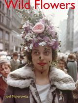 Joel Meyerowitz: Wild Flowers 