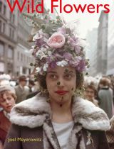 Joel Meyerowitz: Wild Flowers 