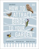 How to Attract Birds to Your Garden