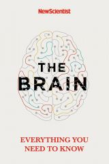 The Brain: Everything You Need to Know 