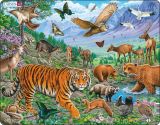 Puzzle Tigr amurský 