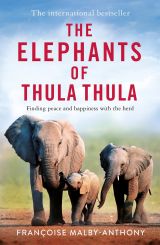 The Elephants of Thula 
