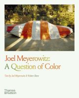 Joel Meyerowitz: A Question of Color 
