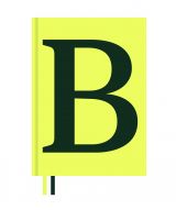 Serif in Use: A Collection of Serif Typefaces 