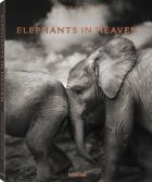 Joachim Schmeisser: Elephants in Heaven