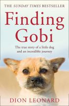 Finding Gobi: The True Story Of A Little Dog And An Incredible Journey