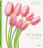 Peter Arnold: Tulips