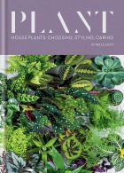 Plant. House plants: choosing, styling, caring 