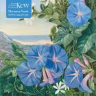 Adult Jigsaw Puzzle. Kew, Marianne North: Amatungula and Blue Ipomoea, South Africa  (1000 piece jigsaw)