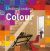 Understanding Colour at Home: The B&Q Guide to Colour
