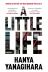 A Little Life