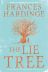 Lie Tree