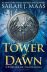 Tower of Dawn (Throne of Glass 6)