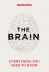 The Brain: Everything You Need to Know 