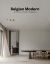 Belgian Modern: Architects & Interior Designers 