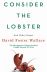 Consider The Lobster And Other Essays