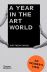 A Year in the Art World: An Insider's View 