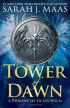 Tower of Dawn (Throne of Glass 6)