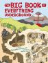 The Big Book Of Everything Underground 