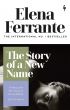 The Story of a New Name (Neapolitan Quartet, 2) 