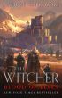 The Witcher: Blood of Elves