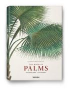 Martius, Book of Palms