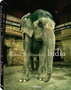 Andreas H. Bitesnich: India