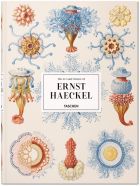 The Art and Science of Ernst Haeckel