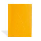 Zápisník Paper-Oh Puro Gold A5 linkovaný