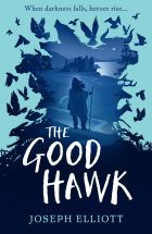 The Good Hawk (Shadow Skye 1)