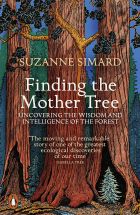 Finding the Mother Tree: Uncovering the Wisdom and Intelligence of the Forest 