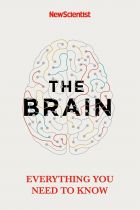 The Brain: Everything You Need to Know 