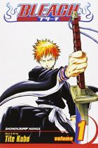 Bleach, Vol. 1 Bleach, Vol. 1