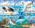Puzzle Zvířata polárního kruhu