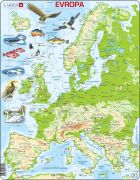 Puzzle Topografická mapa Evropy
