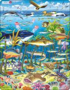 Puzzle Mořský život severního Atlantiku