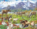 Puzzle Flora a fauna arktické tundry