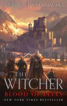 The Witcher: Blood of Elves
